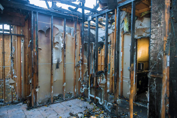 Professional Fire Damage Removal technician working in Davidsonville, MD